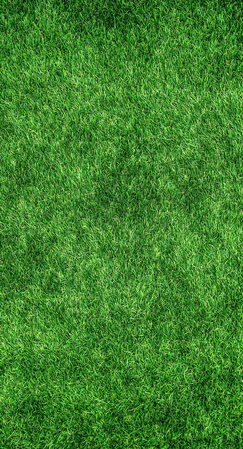 Eco Crafting Ideas