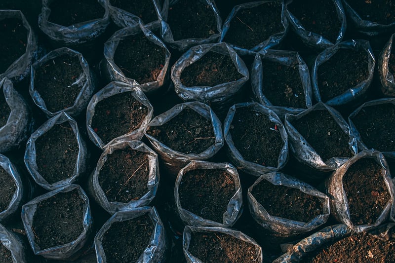 DIY Planters